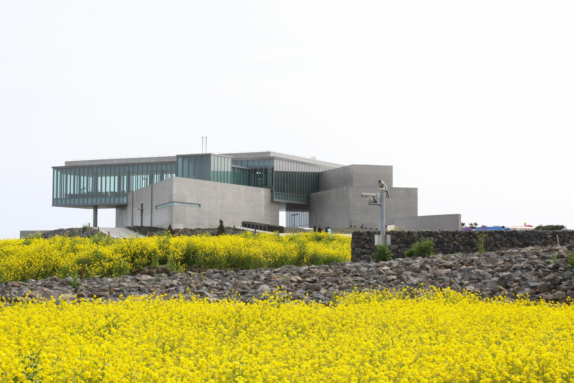 Hotel Phoenix Island Seogwipo Esterno foto